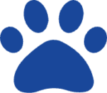 Pet Friendly